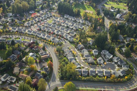 Aerial View of Bright Suburban Neighborhood