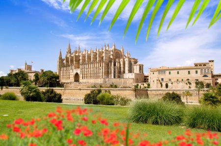 Majorca Cathedral and Almudaina from red flowers garden