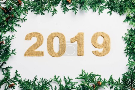 top view of 2019 year sign made of golden glitters and pine branches on white backdrop