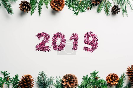 flat lay with 2019 year sign made of pink confetti, pine tree branches and cones on white background
