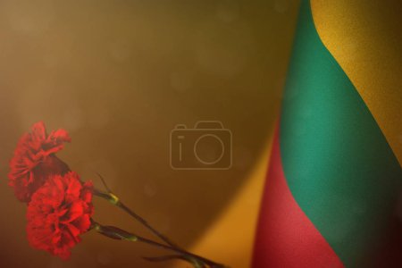 Lithuania flag with two red carnation flowers for honour of veterans or memorial day on orange dark velvet background. Lithuania glory to heroes of war concept.