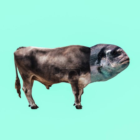 Contemporary art minimal collage. Bull Fish metamorphosis