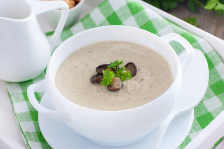 Mushroom soup puree in a white plate, horizontal
