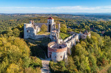 Tenczyn castle in Rudno, Poland