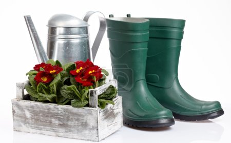 Spring gardening - Watering can, grass and garden tools on white
