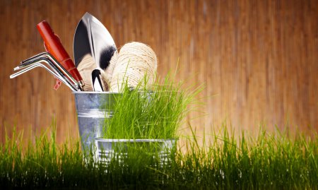 Gardening tools and houseplants