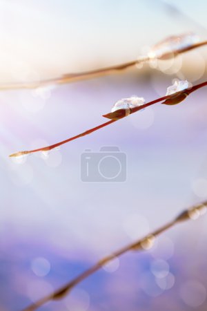 Abstract art spring background with thawing snow in the spring o