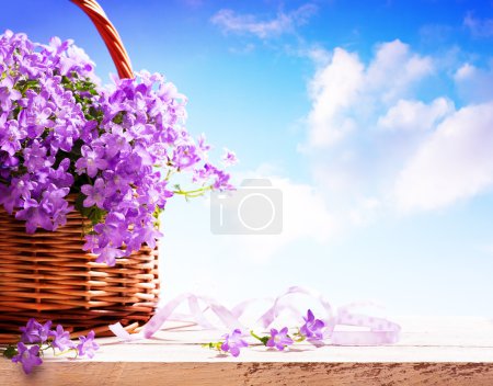 Bluebells spring flowers in a basket