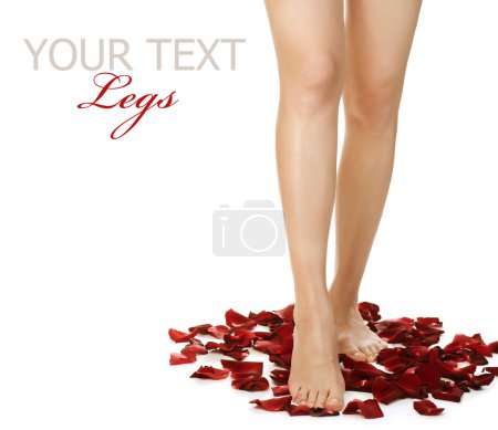 Spa Legs and Rose Petals. Isolated on white