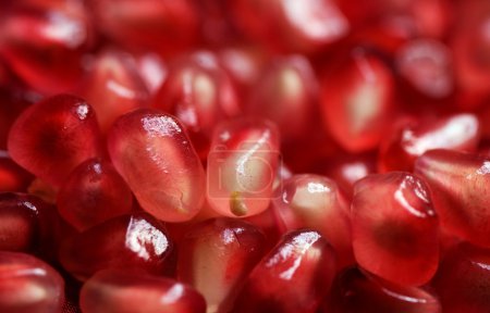 Pomegranate background. Macro of peeled ripe seeds