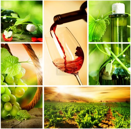 Wine. Beautiful Grapes Collage