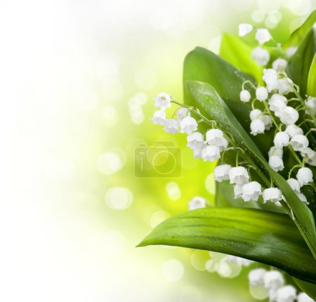 Lily-of-the-valley Flowers Design