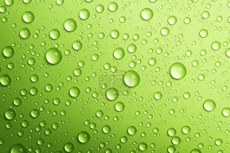 Water drops over green. Closeup
