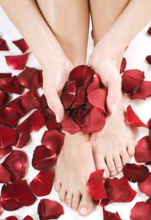 Beautiful woman's hands and legs with red rose petals