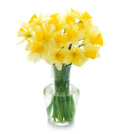 Beautiful Daffodils In A Vase