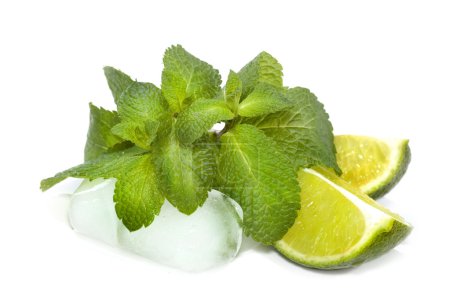 Mojito Ingredients: Mint, Lime & Ice Closeup
