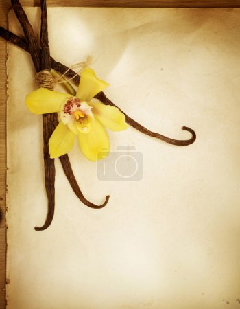 Vanilla Flower And Pods Over Vintage Paper Background