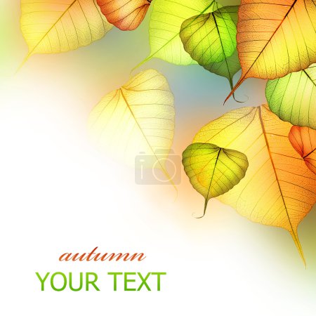 Autumn Leaves. Beautiful Abstract Fall Border
