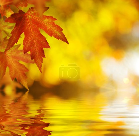 Fall.Autumn Background
