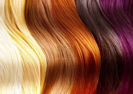 Hair Colors Palette