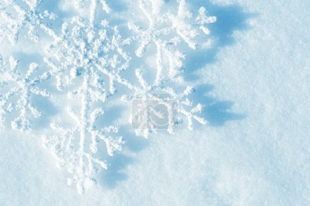 Snowflakes. Winter Snow Background. Christmas