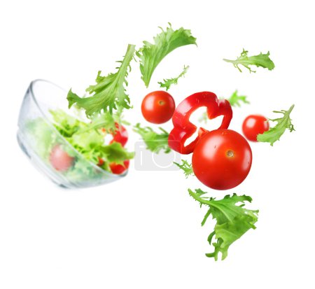 Healthy Vegetable Salad. Dieting Concept