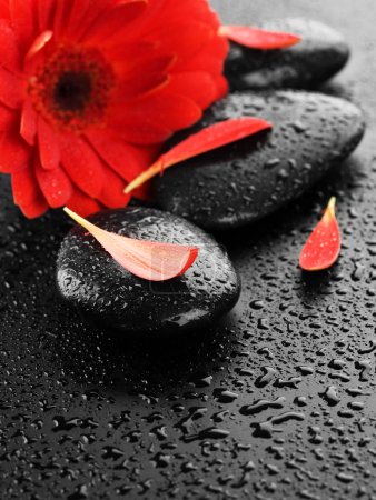 Wet Spa Stones And Red Flower