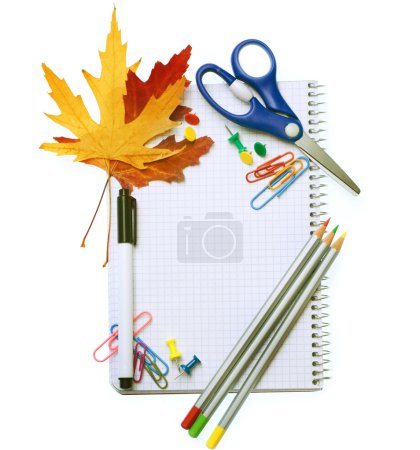 School Accessories. Back To School Concept. Isolated On White