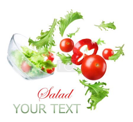 Healthy Vegetable Salad. Dieting Concept