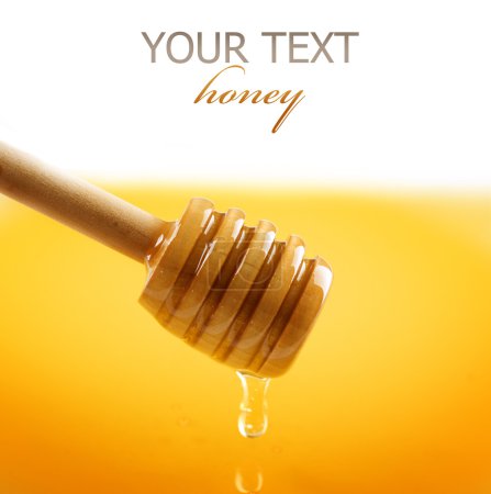 Honey border over white