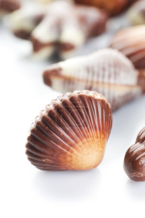 Chocolate Seashells Closeup