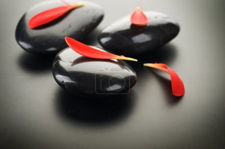 Spa Stones With Red Petals
