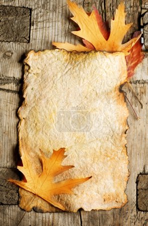 Autumn Leaves on the Old Paper sheet