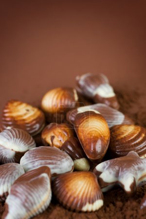 Chocolate Seashells Border