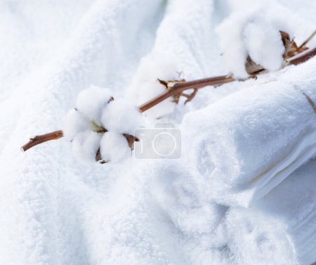 Cotton White Towels with Cotton Plant