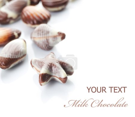 Milk Chocolate Seashells. Selective Focus