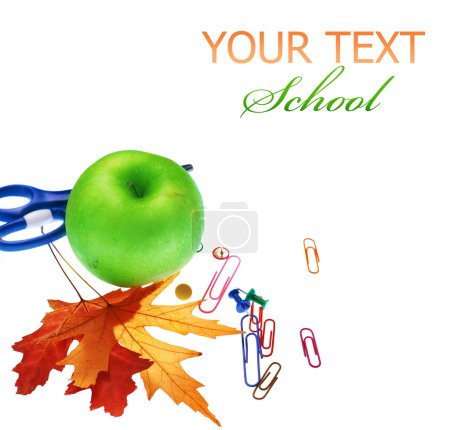 School Tools Over White. Education Concept