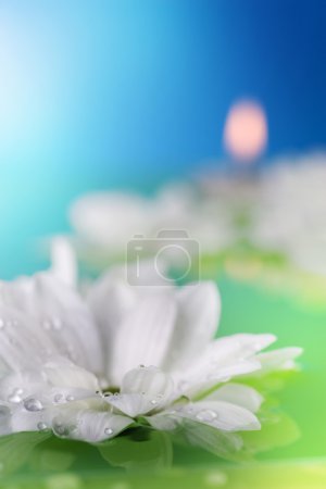 Flowers And Candles In Water