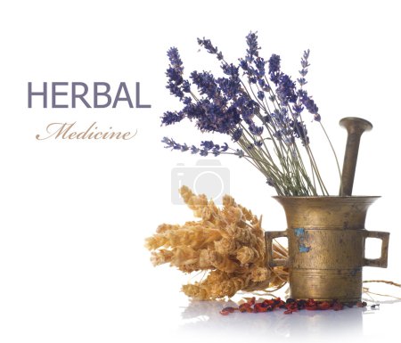 Herbal Medicine Concept