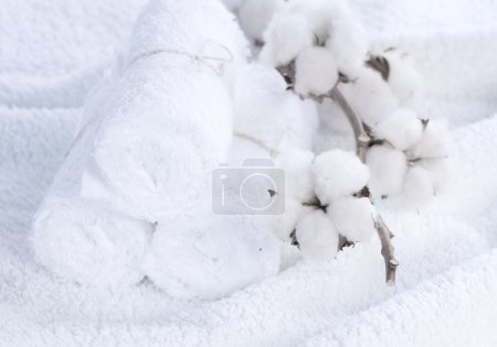 Cotton White Towels With Cotton Plant