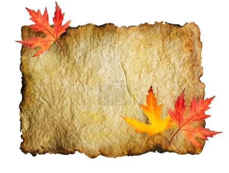 Autumn Leaves on the Old Paper sheet isolated on white