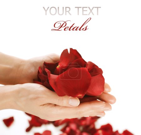 Beautiful woman's hands with red rose petals
