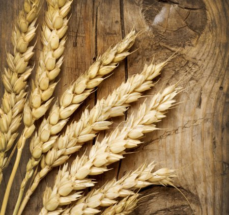 Wheat Ears on the Wood . Food Background