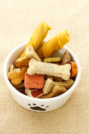 Dog food in dog bowl