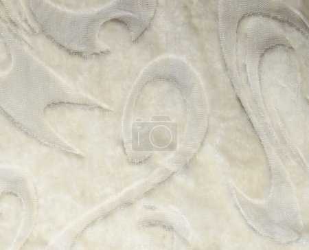 Pattern of shawl texture