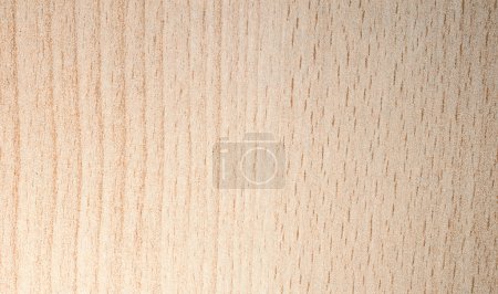 Pattern of artificial tree texture
