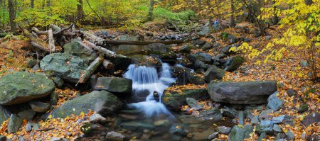 Autumn creek panorama and foliage