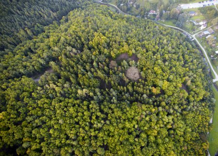 Dense forest aerial view, Brno, Czech Republic
