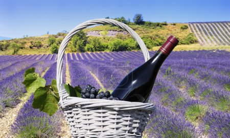 Lavender and red wine in the landscape