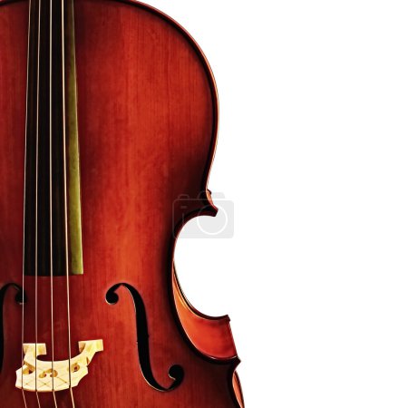 Cello Detail over White